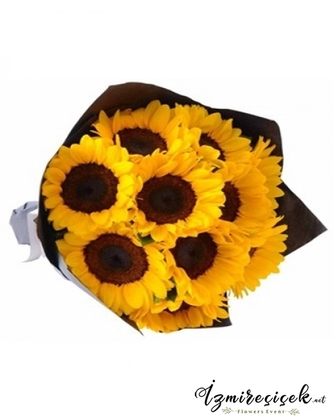 7 Sunflowers